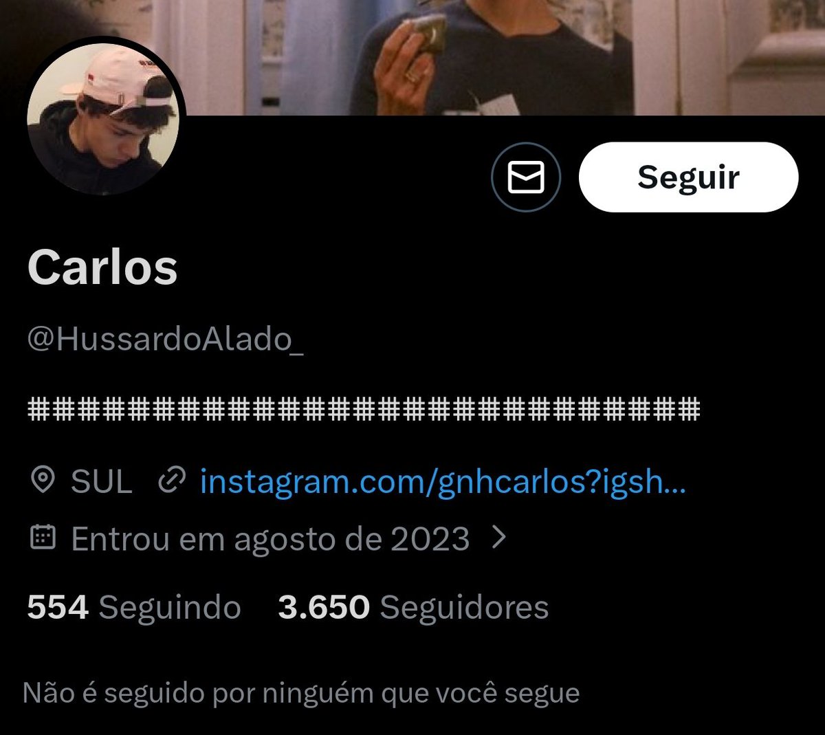 Tizzo 🐺 tweet media