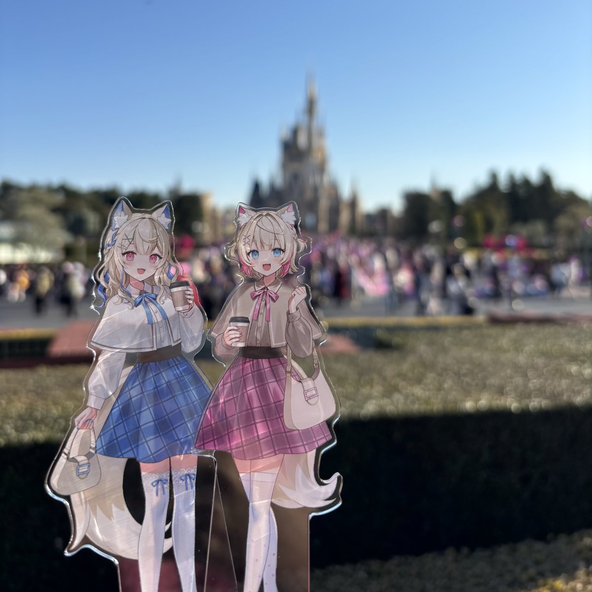 ななみちゃん🐾 tweet media