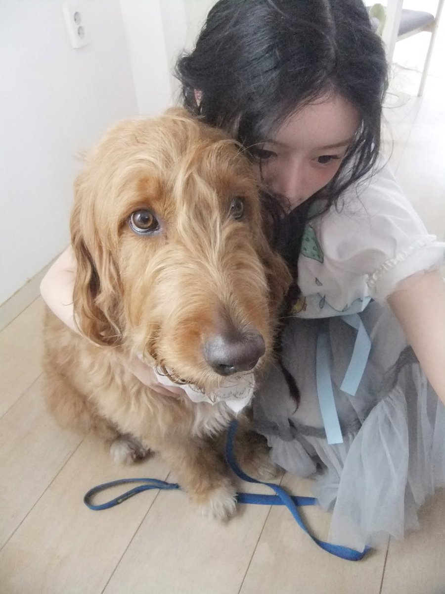 ILLIT PICS tweet media