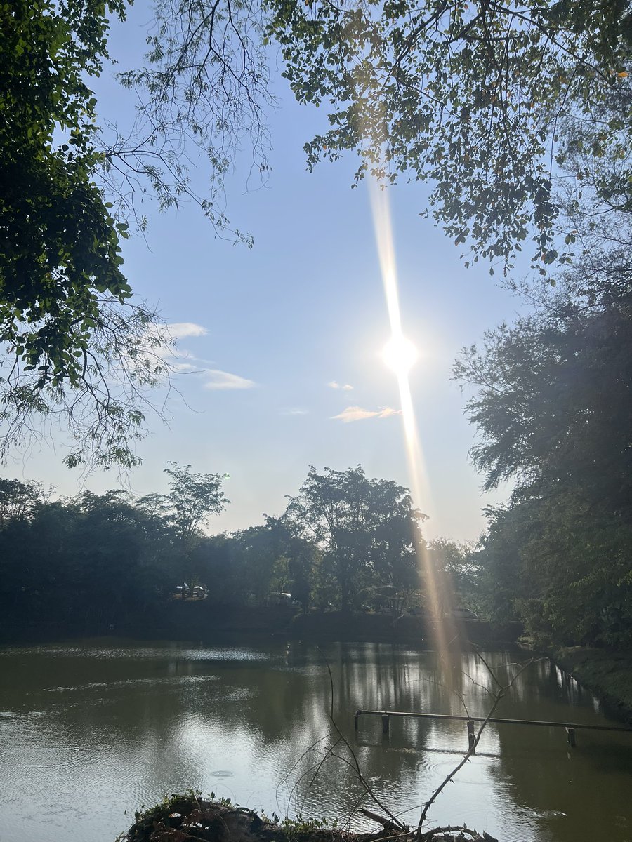 เมอเมอ 🩵 tweet media