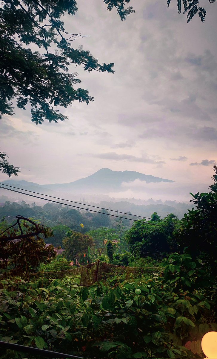 ramazzh's tweet image. Sore