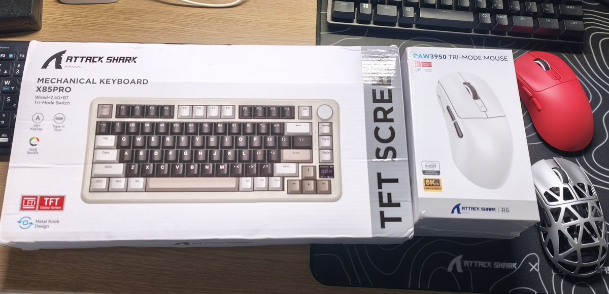 majiro002 tweet media