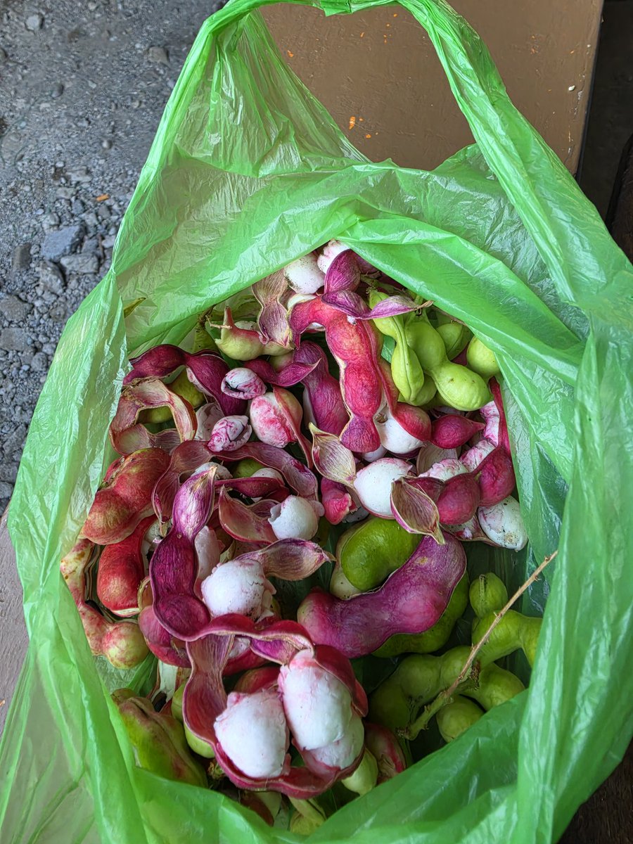 Suparman tweet media