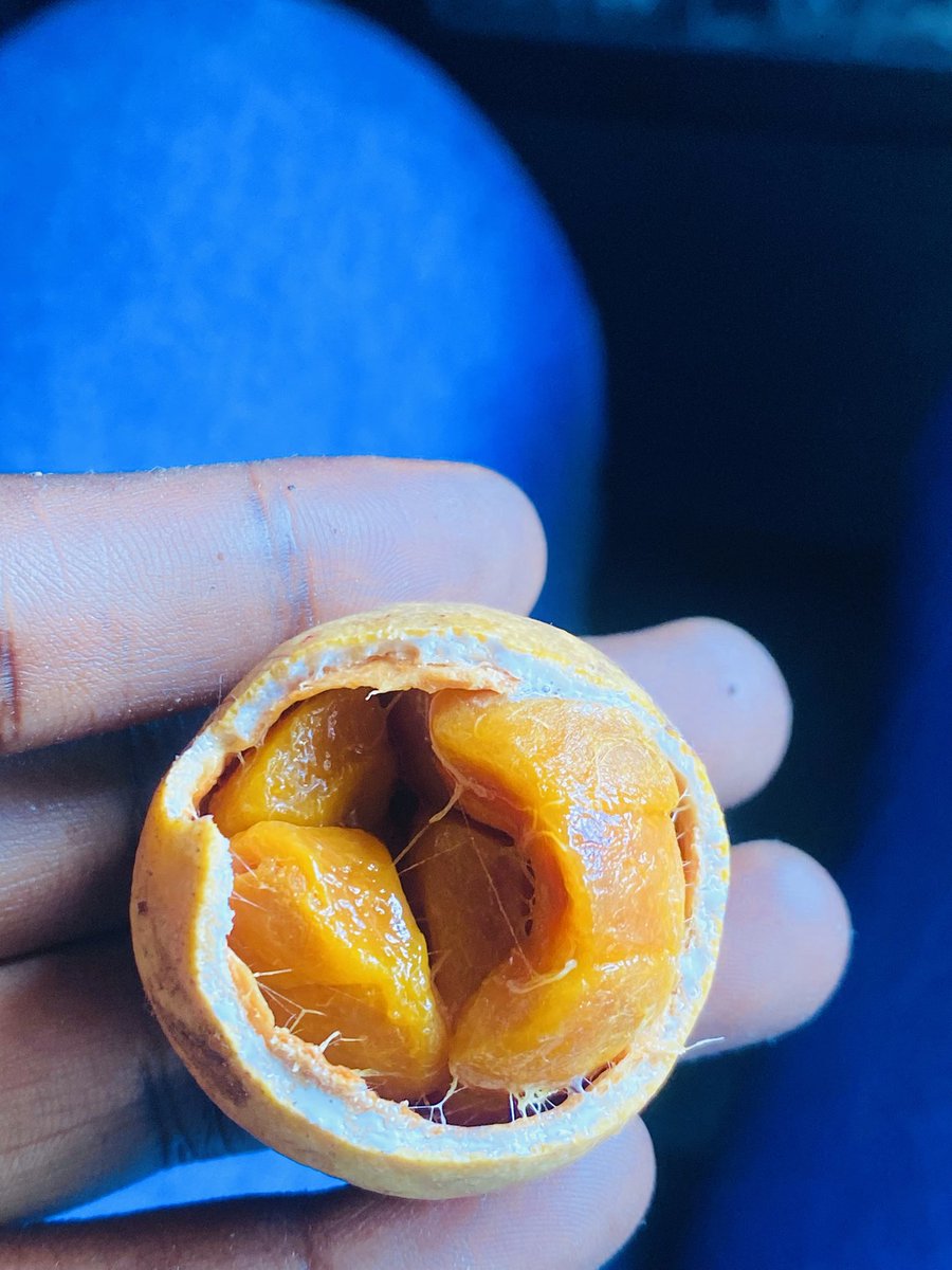 Salomemoureen's tweet photo. Yum https://t.co/vTbysftrC8