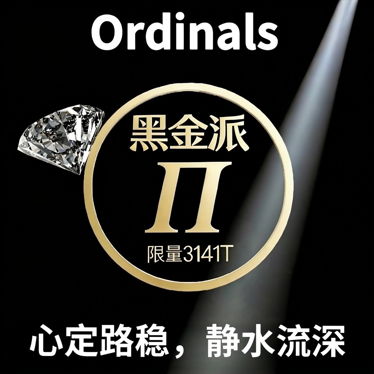 BRC20Bit 黑金𝜫 tweet media
