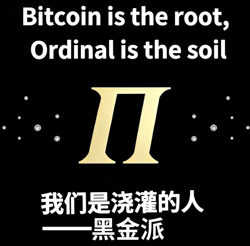 BRC20Bit 黑金𝜫 tweet media