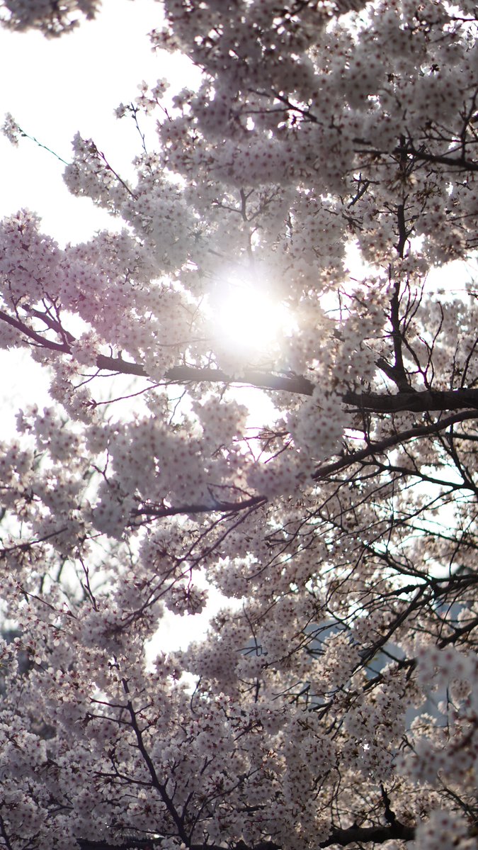 연이 (@yeoniuvu) / Posts / X