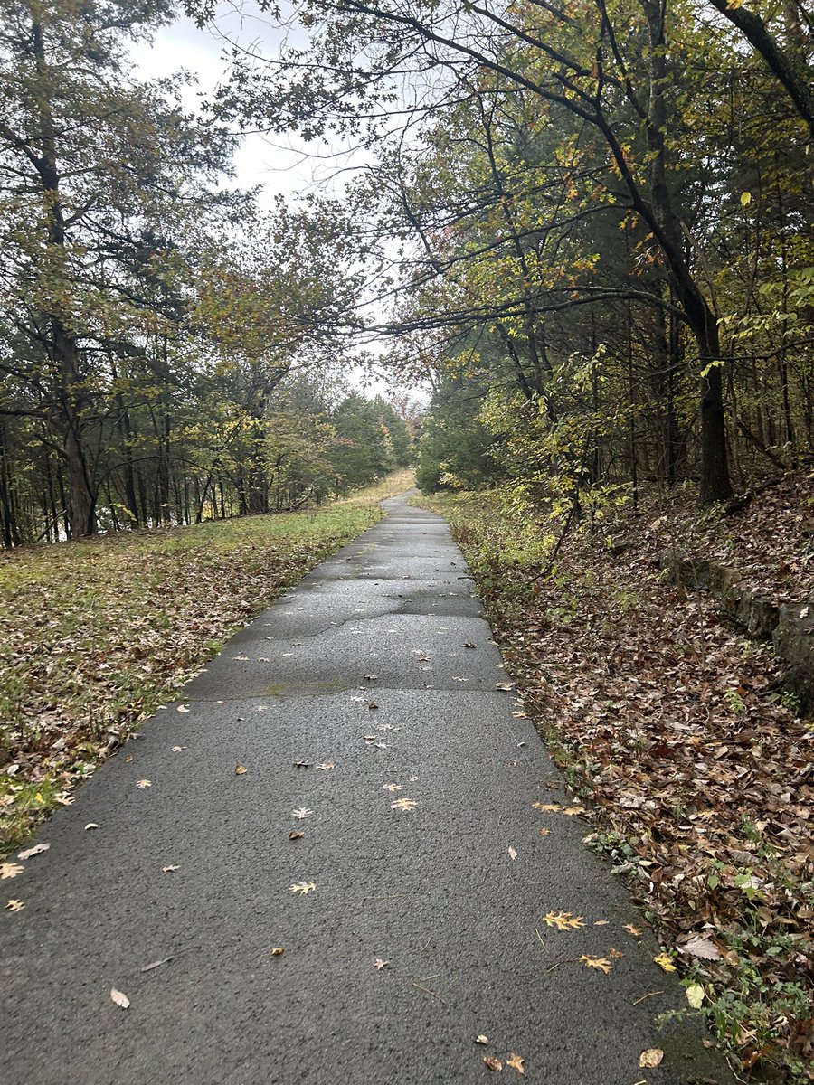 TwoMindMoney tweet media