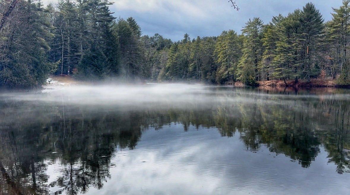 Josh Wells tweet media