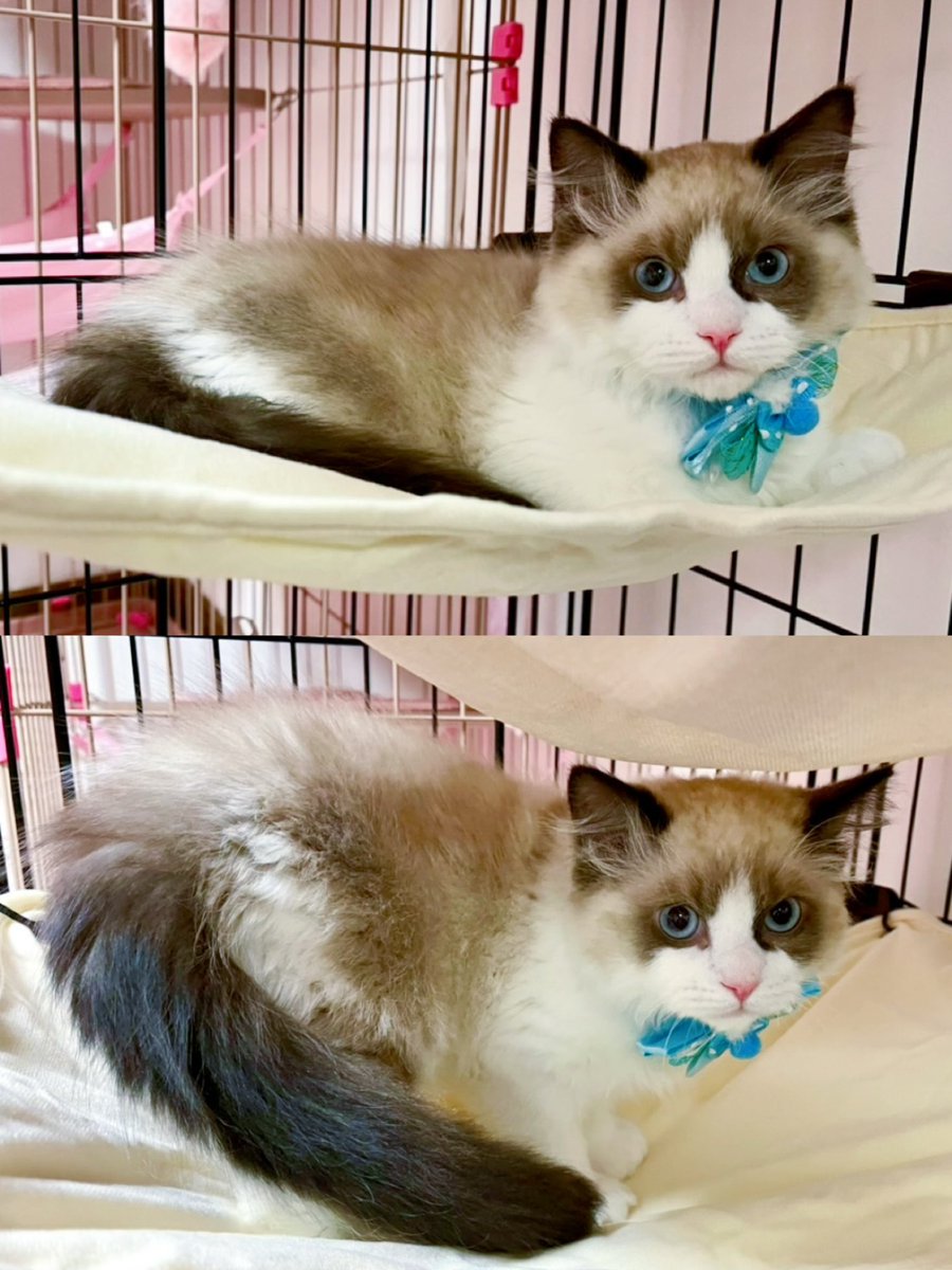 maami♡ tweet media