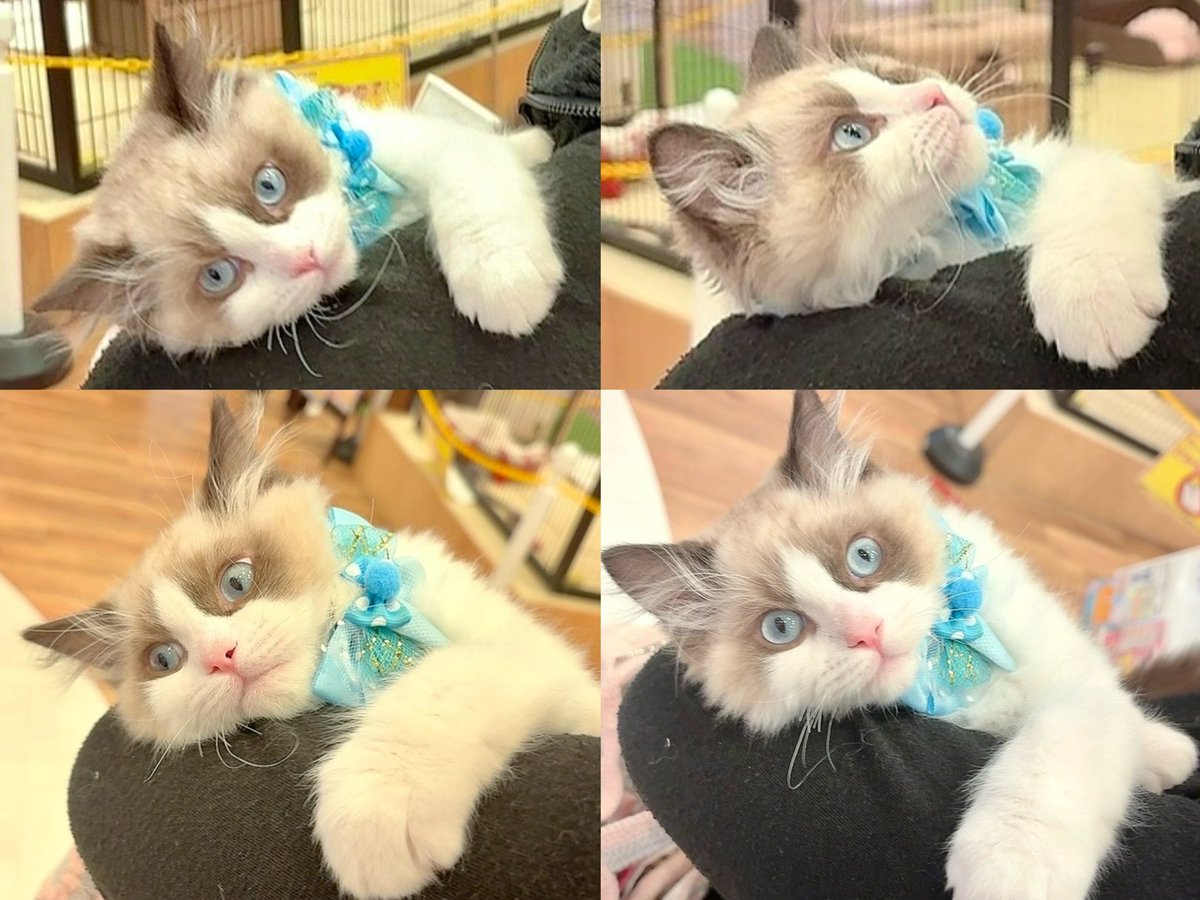 maami♡ tweet media