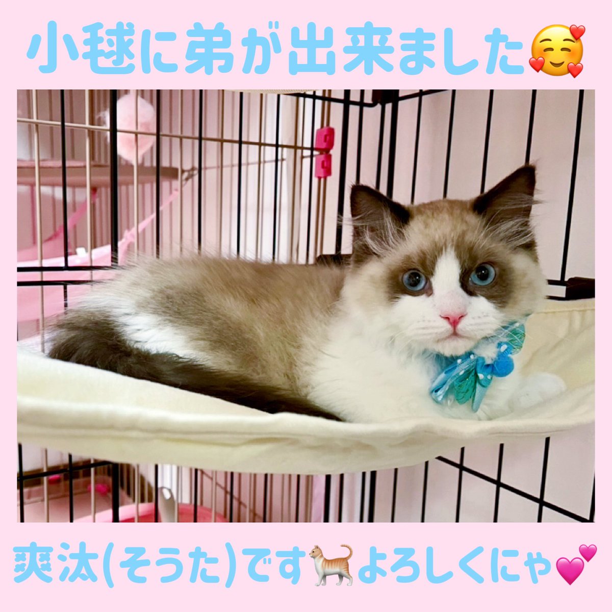 maami♡ tweet media