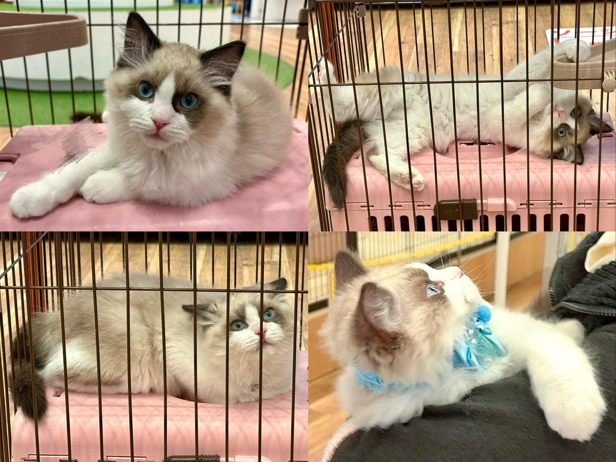 maami♡ tweet media