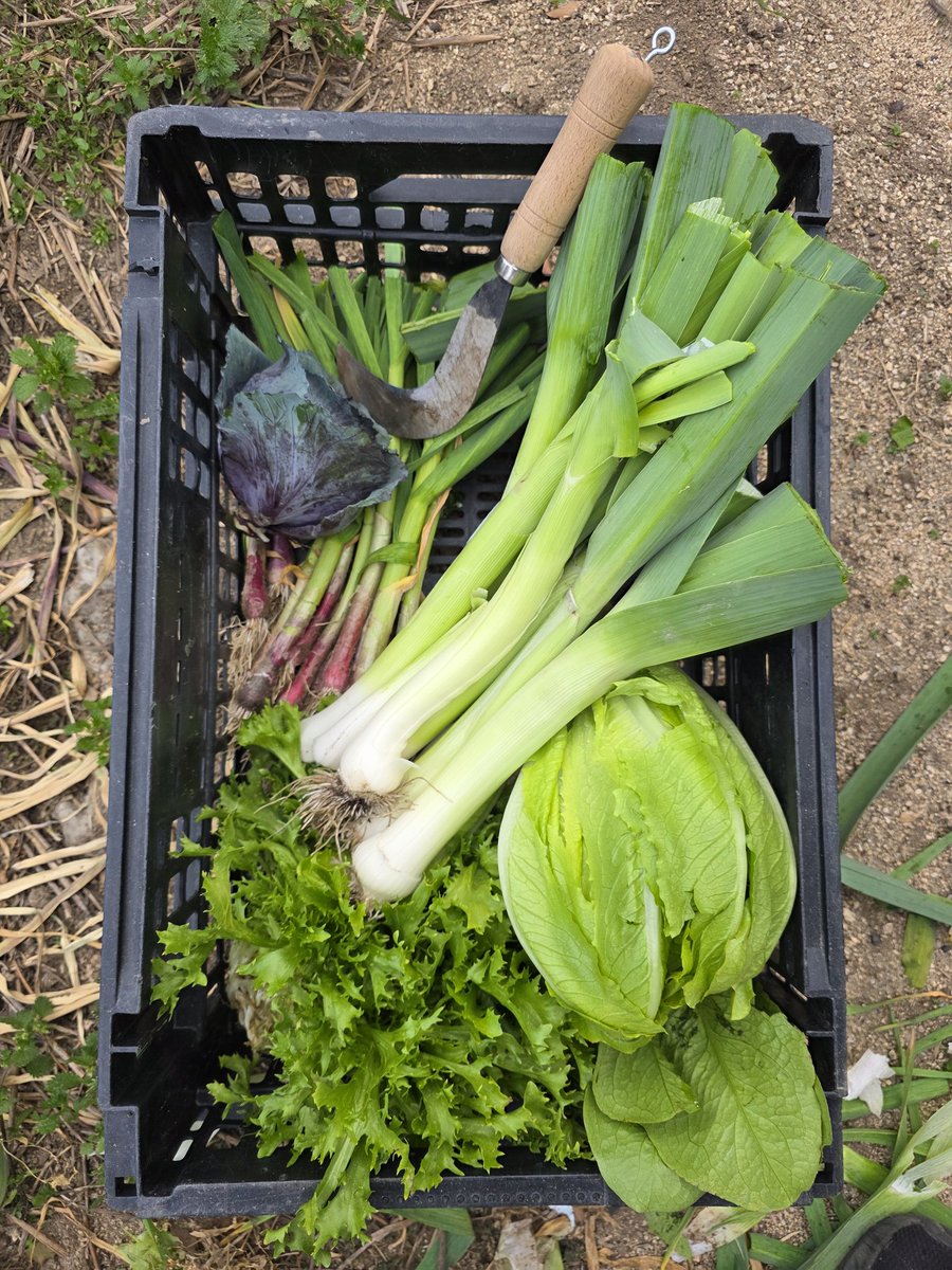 Can Terrades tweet media