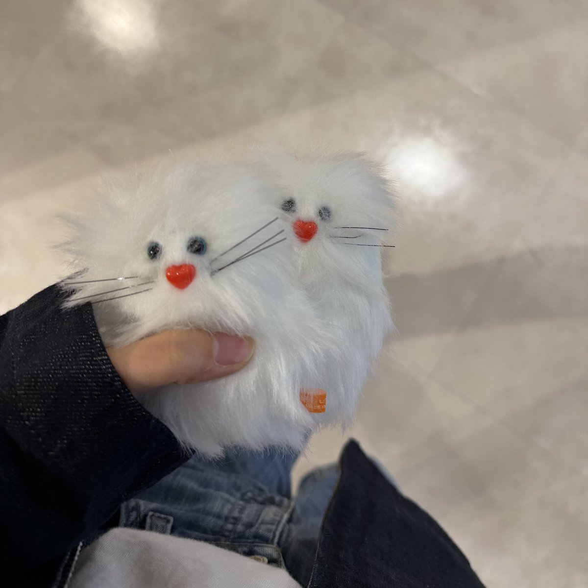 まるち🦊 tweet media