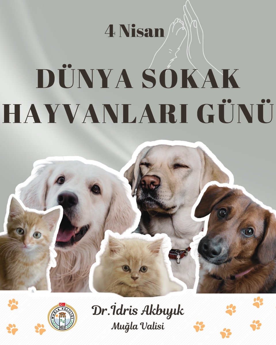 Dr. İdris AKBIYIK tweet media