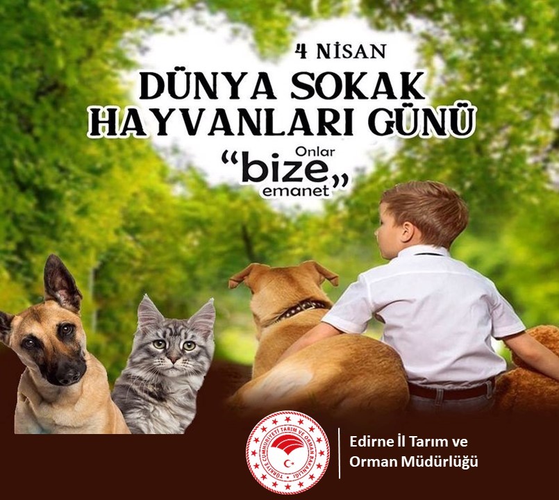 Edirne İl Tarım ve Orman Müdürlüğü tweet media