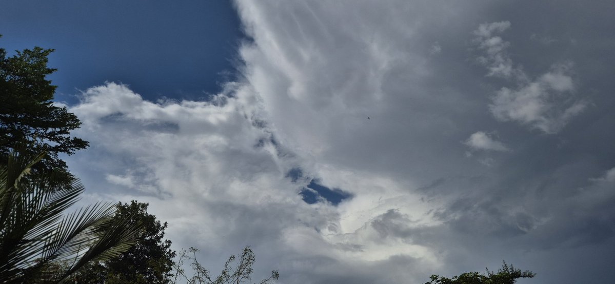 deeja✯⁠ tweet media