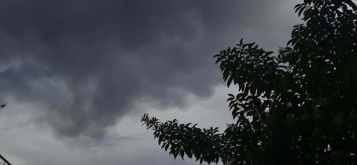 deeja✯⁠ tweet media