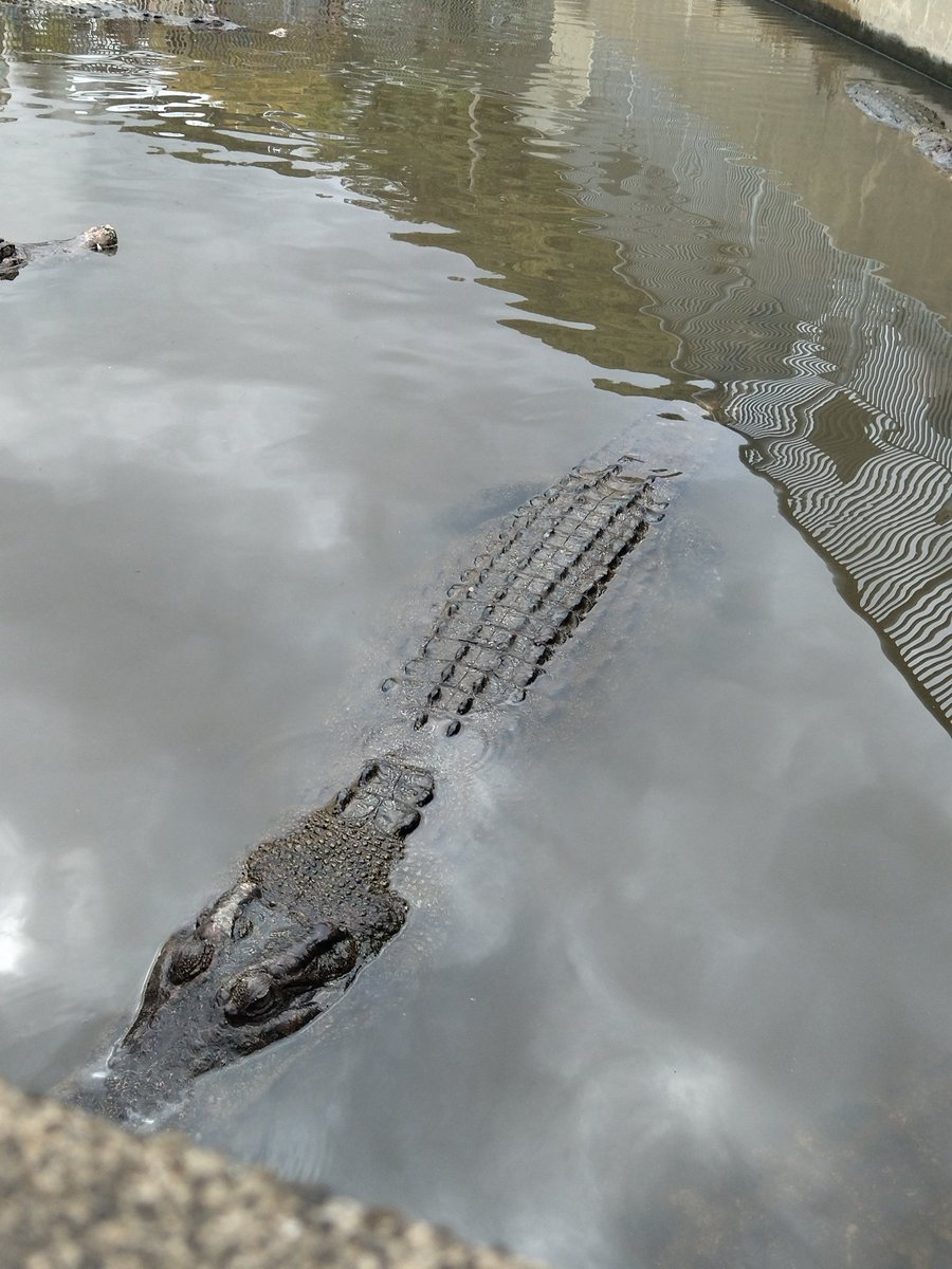 毎日健康飲酒ダイエット tweet media