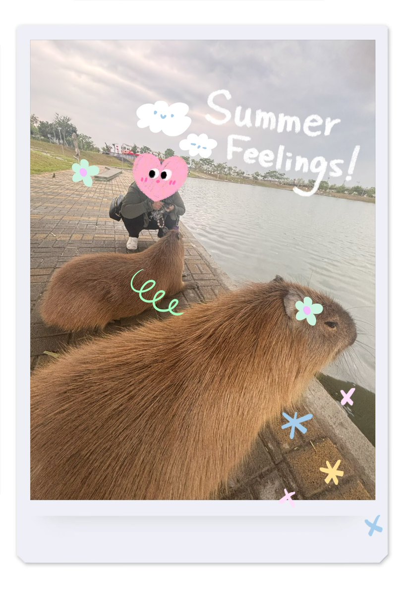 甜不辣𝕄𝕚𝕟🐶 tweet media