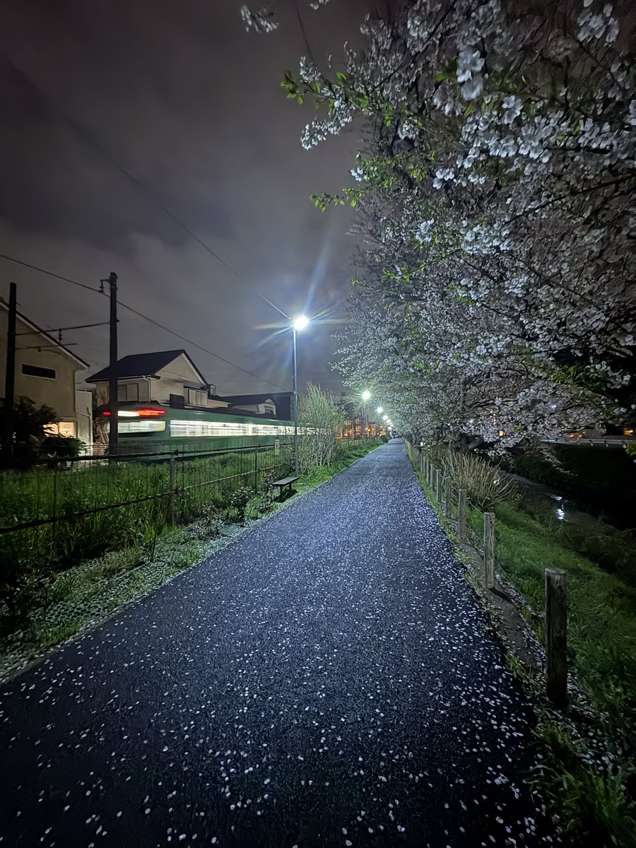 みうら〜🎈🎐 tweet media