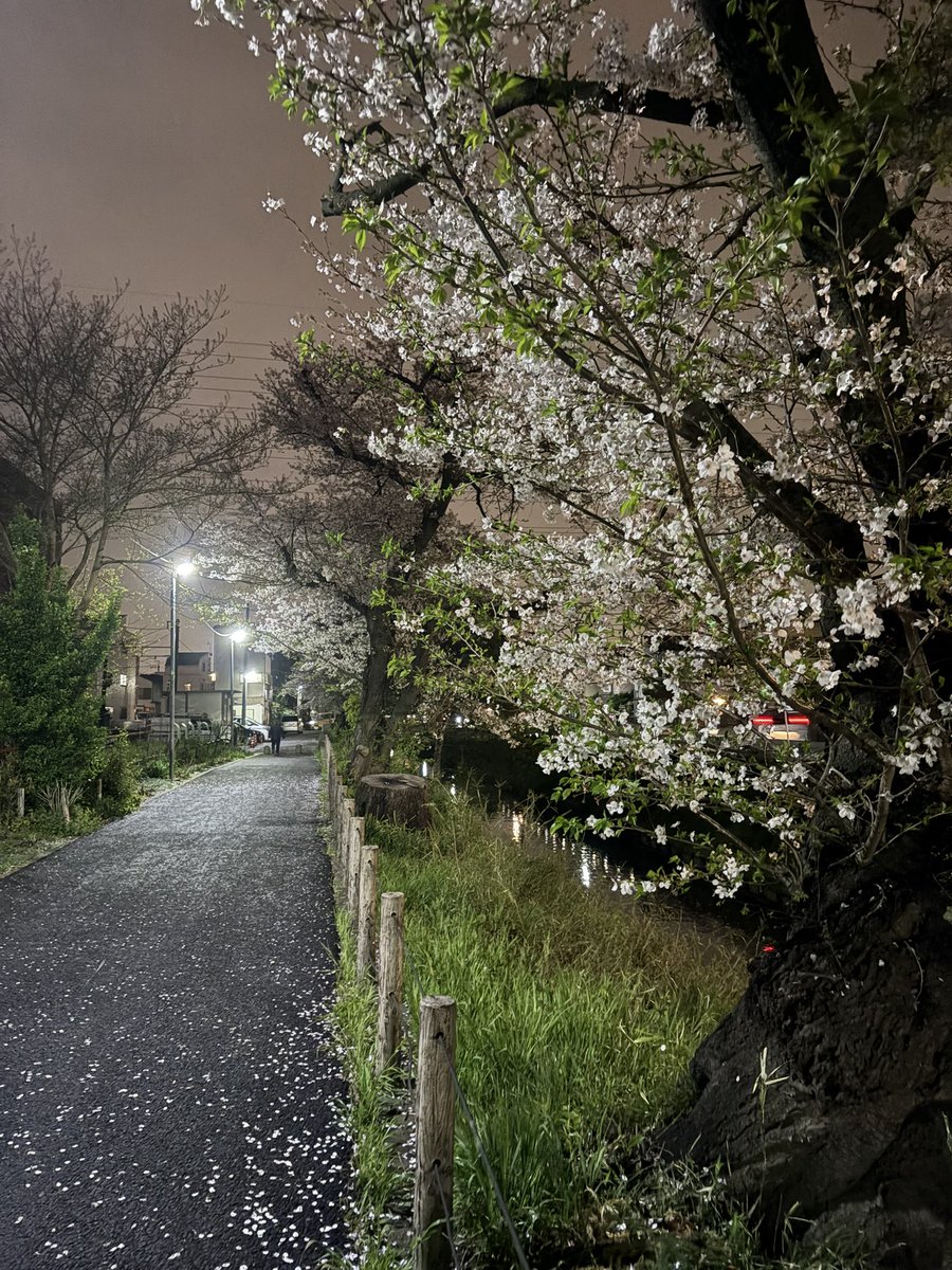 みうら〜🎈🎐 tweet media