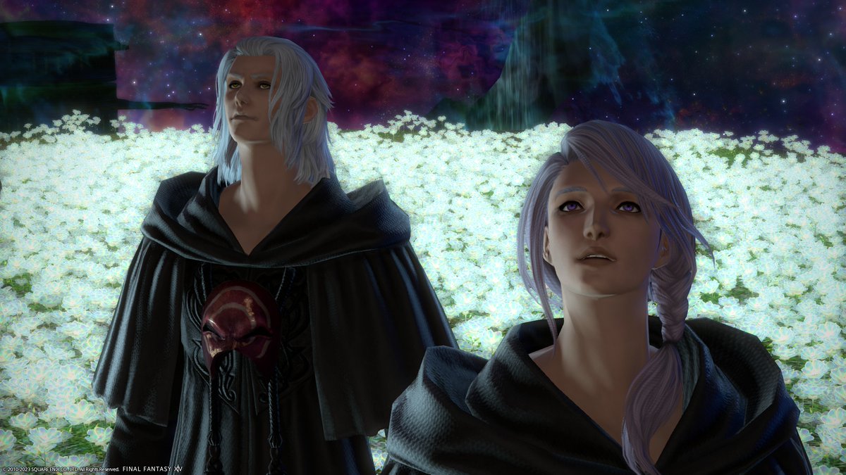 マトシャ🐘 tweet media