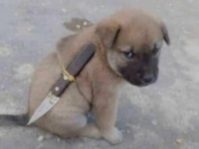 ☆ ☆ ☆ ☆ ☆ tweet media