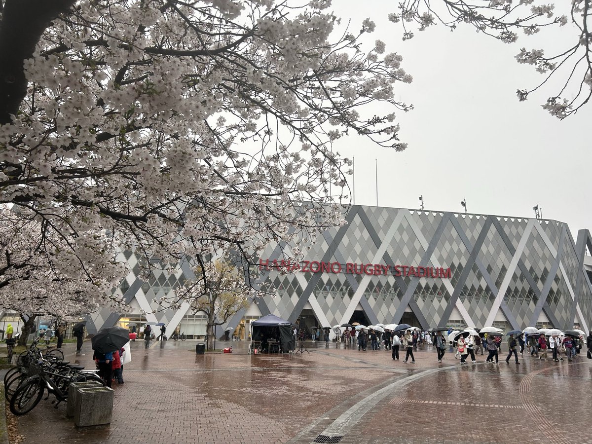 パパラー tweet media