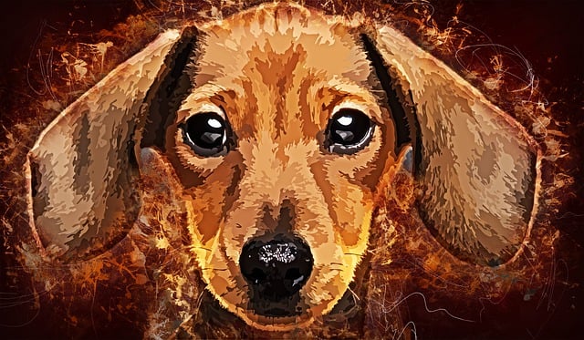 Henry Cauthen tweet media