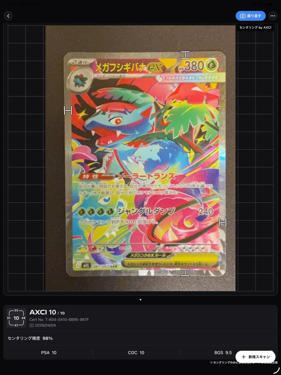 アルマジロ~ tweet media