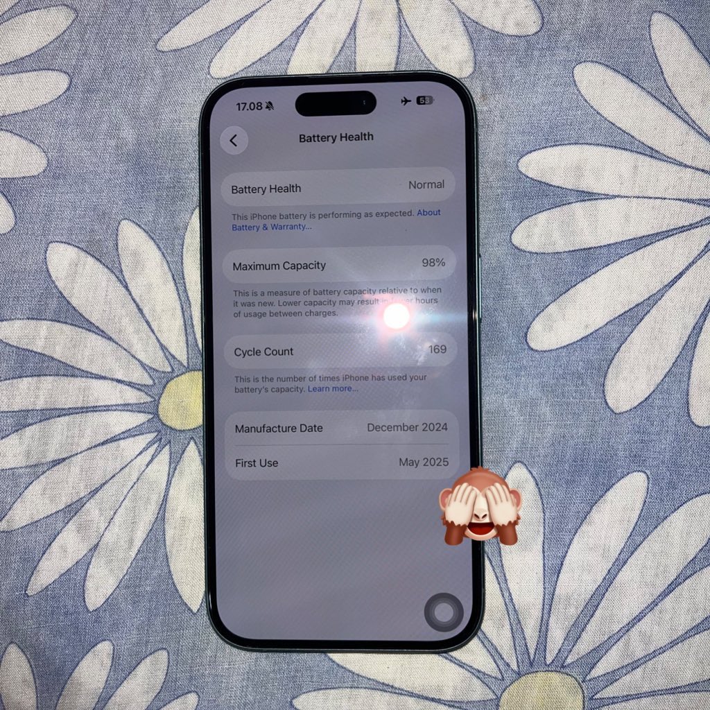 `ꪻꫀ👑 BLISS🧑🏼‍🦱👀 tweet media