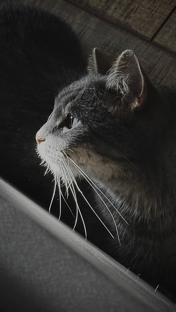 Туча! tweet media