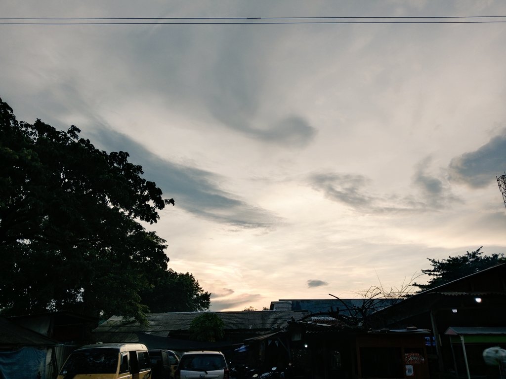 s, dying (selective) tweet media