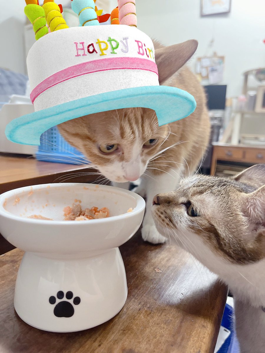 嚕嚕薯餅 tweet media