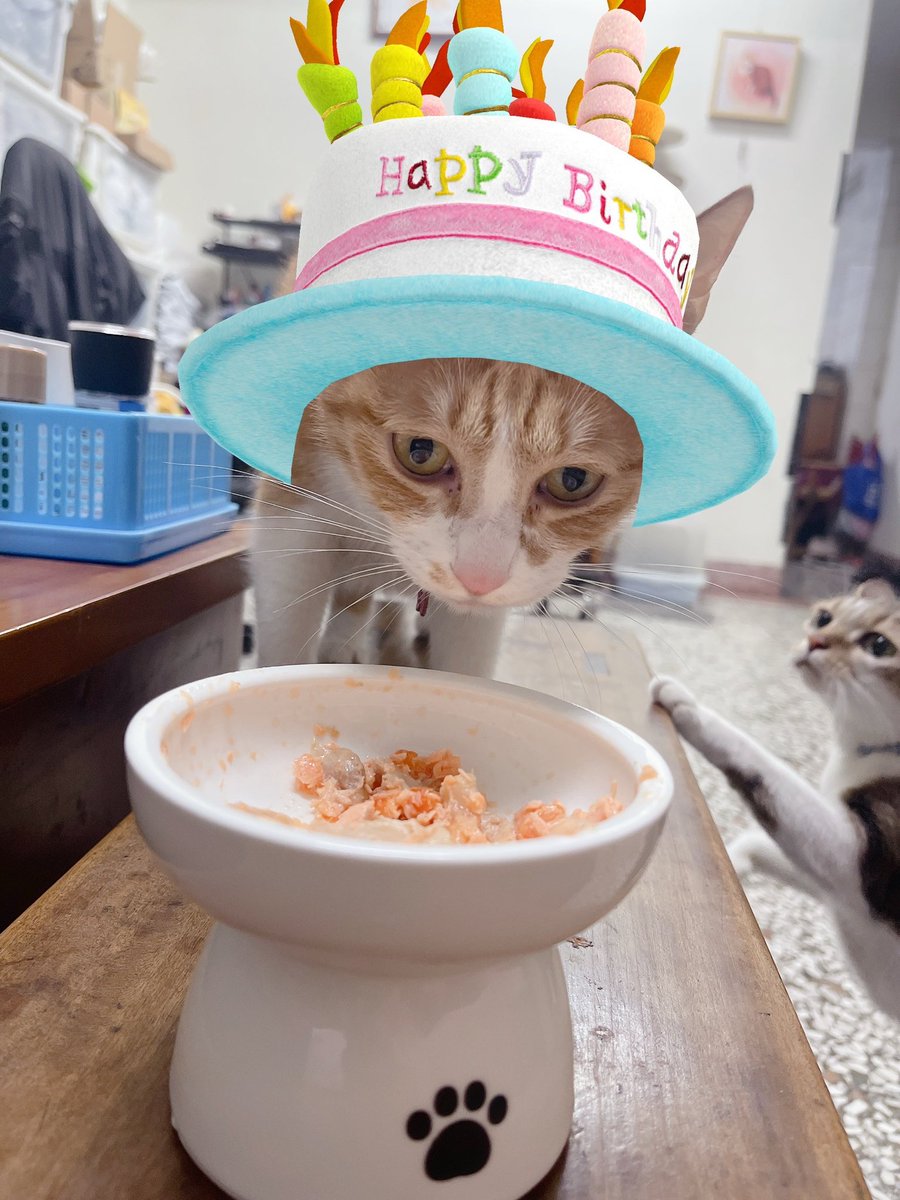 嚕嚕薯餅 tweet media