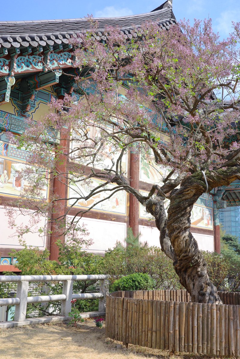 모험가 밀크티 tweet media