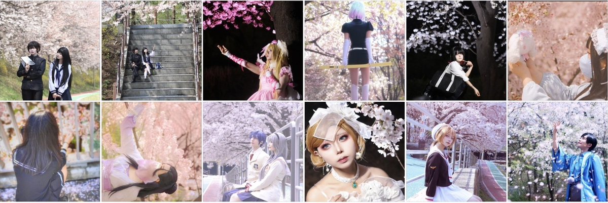 🎇《사회악》社會惡📸 tweet media