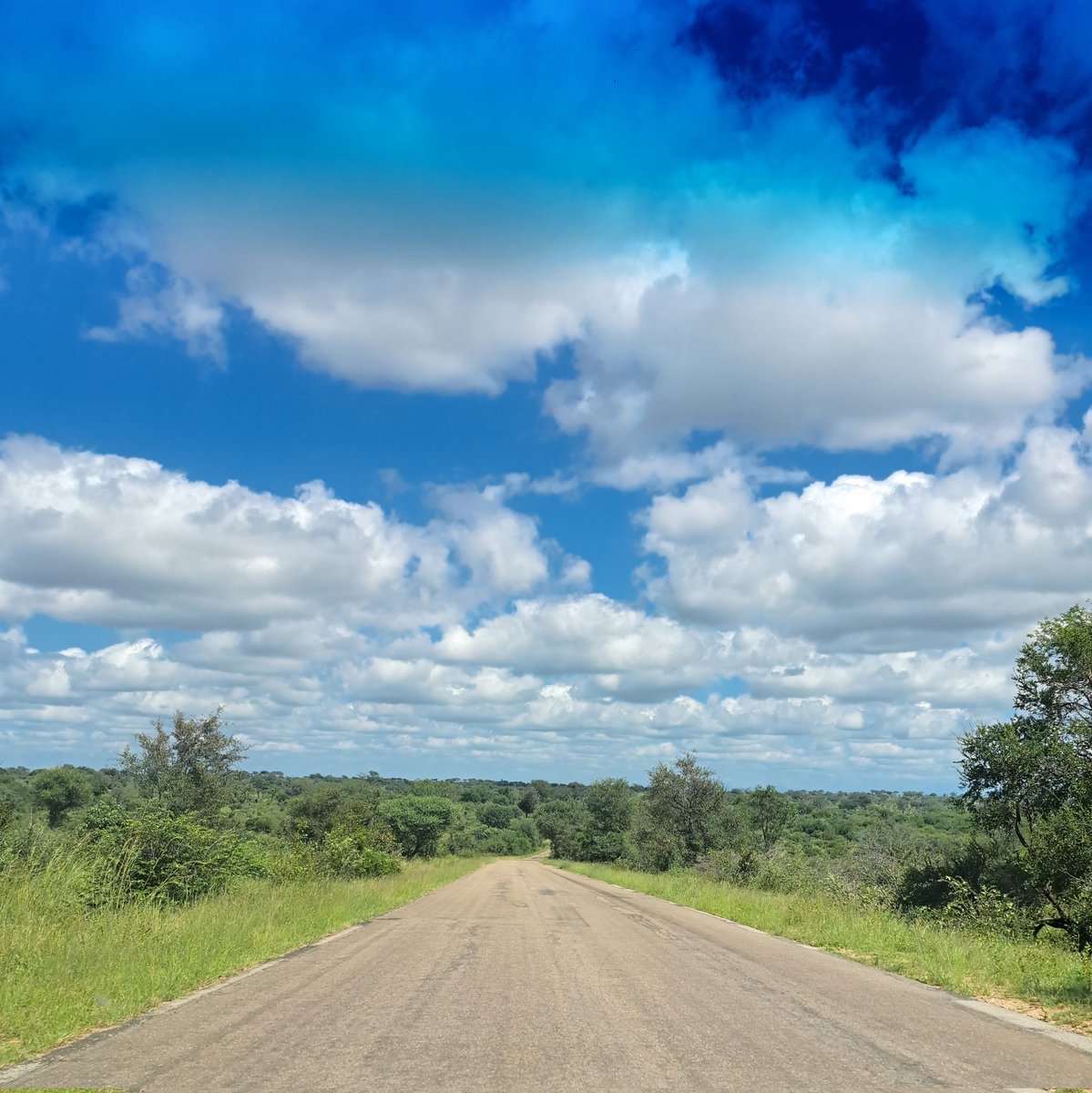 The beautiful Skukuza Safari Lodge offers authentic bush hospitality in the heart of Kruger National Park — elegant accommodation, guided morning/evening game drives, birding walks, and local cuisine with a global twist.#Mpumalanga #SkukuzaLodge #ConservationTravel #Kruger