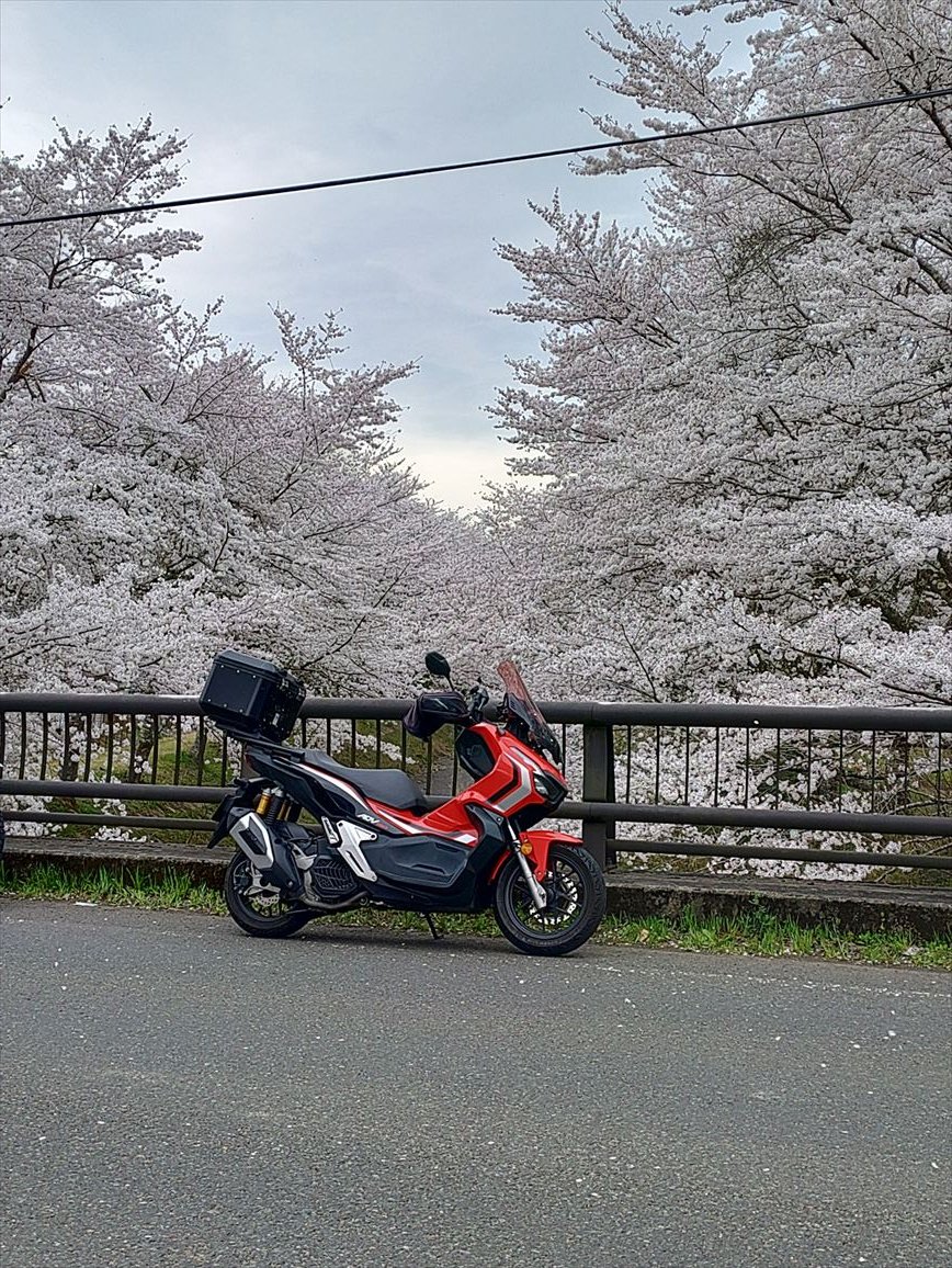 07_TGR_XR's tweet photo. 毎年恒例、今年もよい時期でした。 https://t.co/D0c9neBBCq