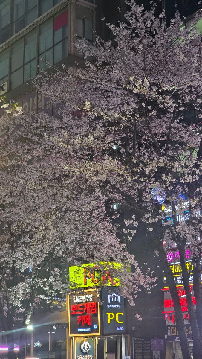 ꔌスΙ∞ tweet media