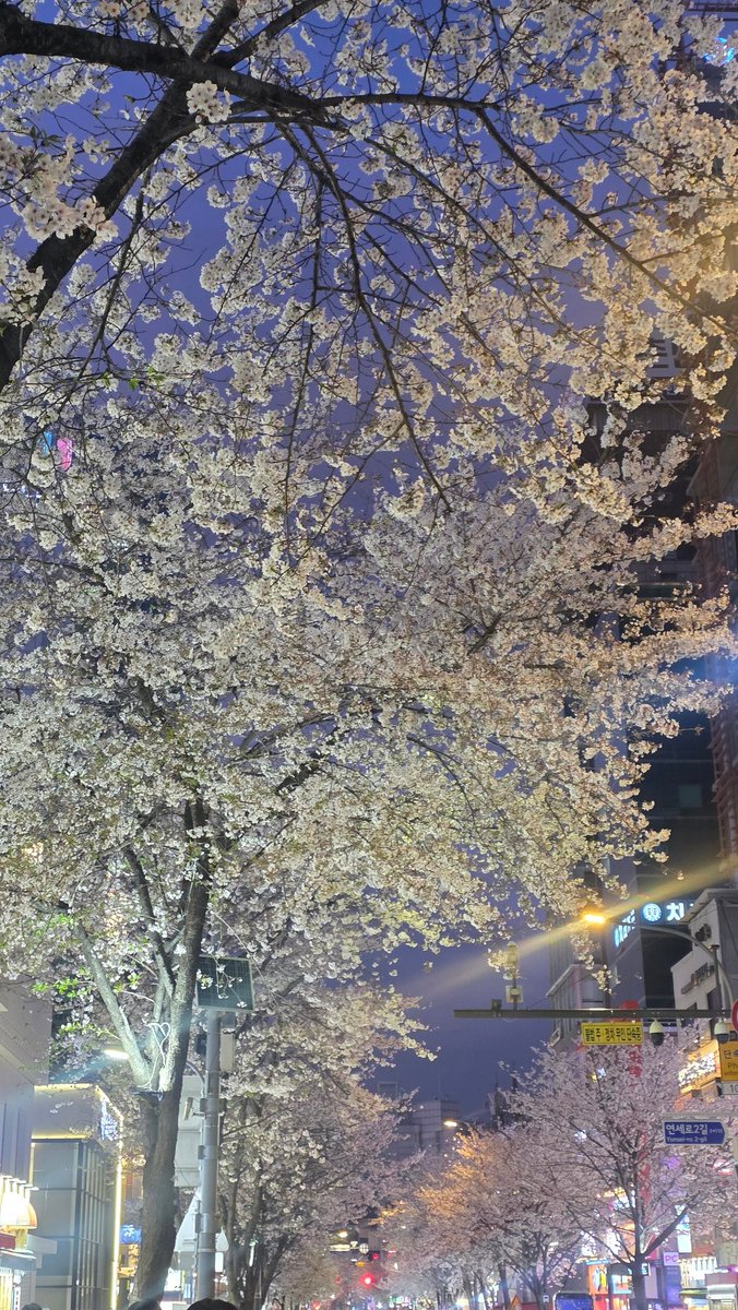 ꔌスΙ∞ tweet media