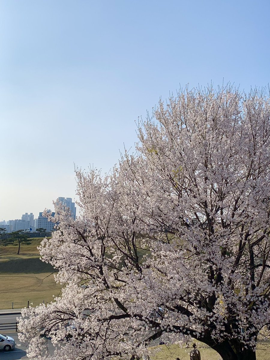 bemyoceans's tweet photo. 행궁동 너무 좋다 https://t.co/Ee8azjz2w6
