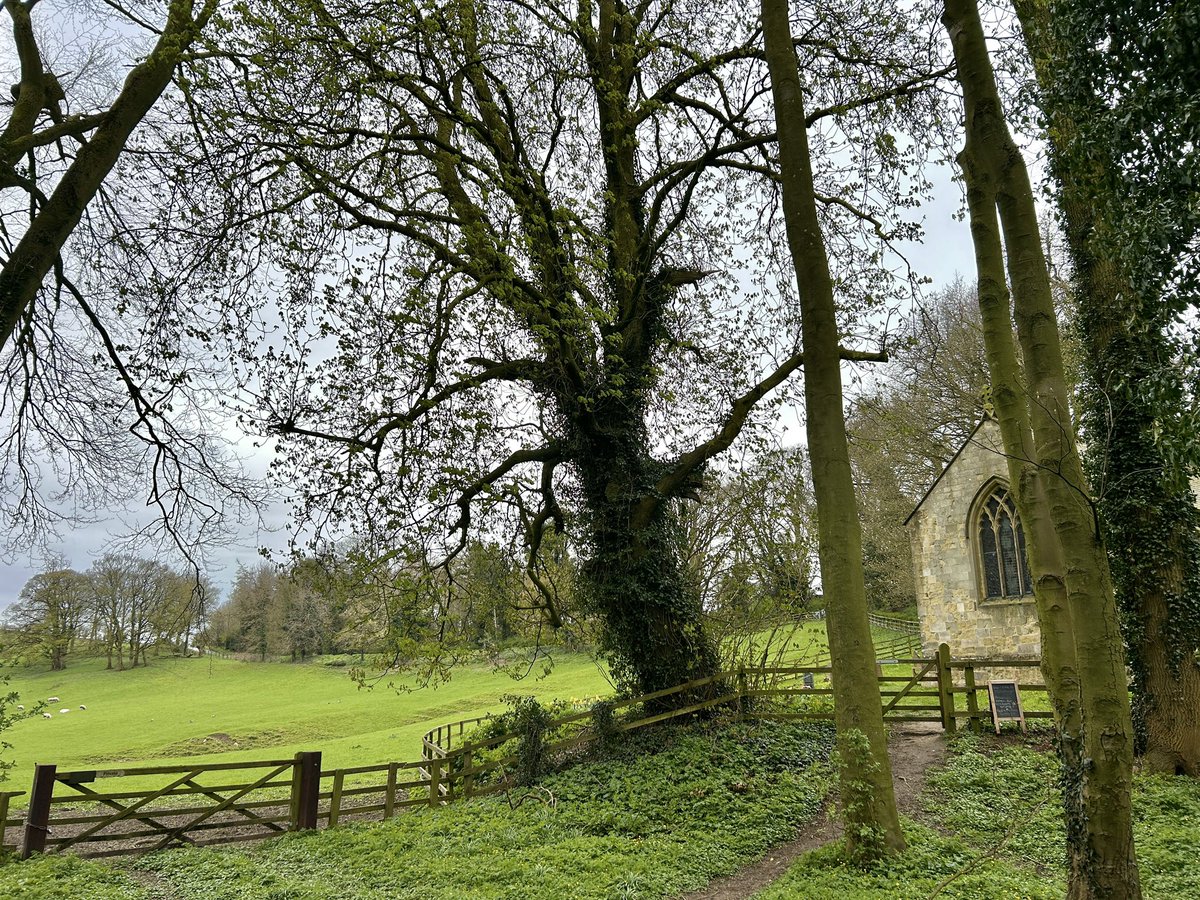 Yorkshire Wolds Weather tweet media