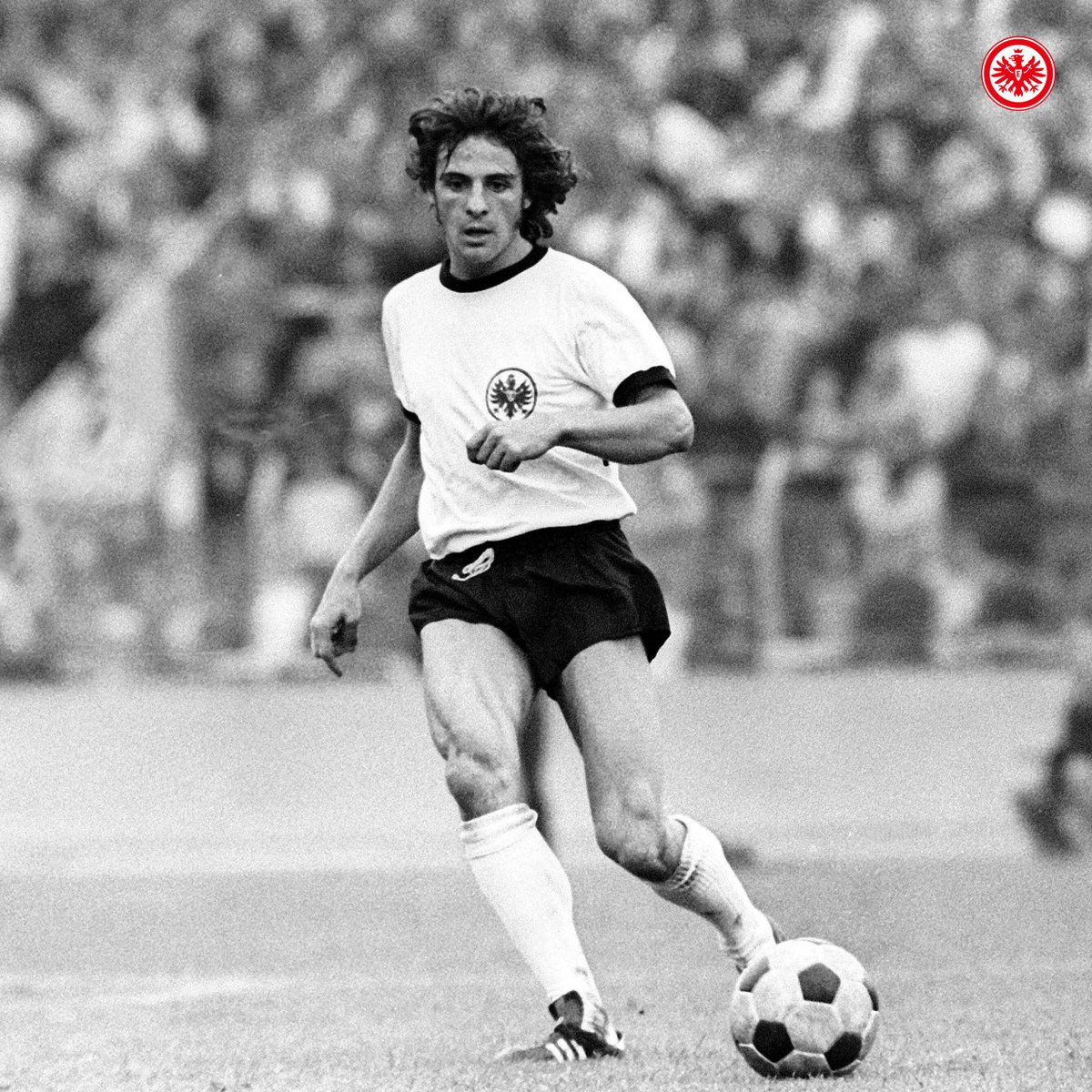 Eintracht Frankfurt tweet media