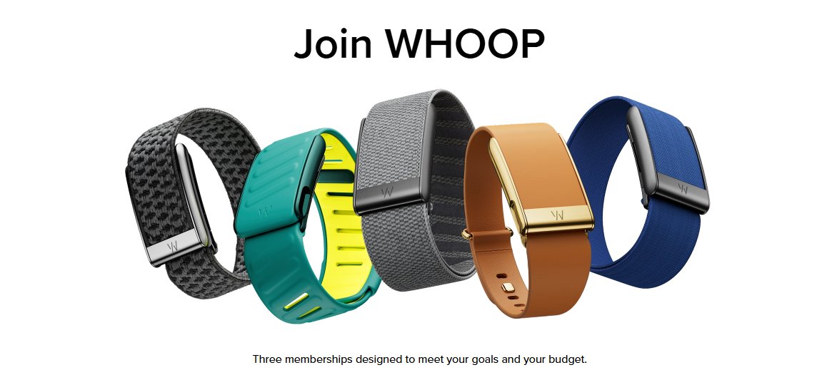 عبدالعزيز tweet media