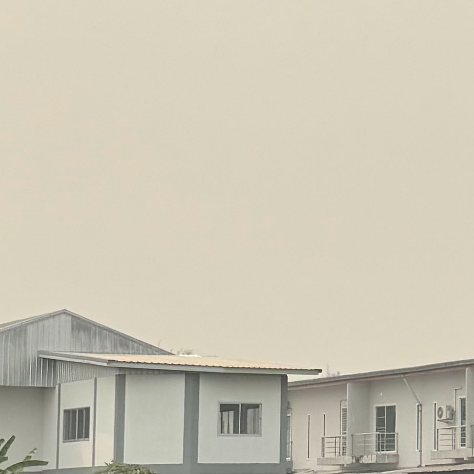 바이픈 tweet media