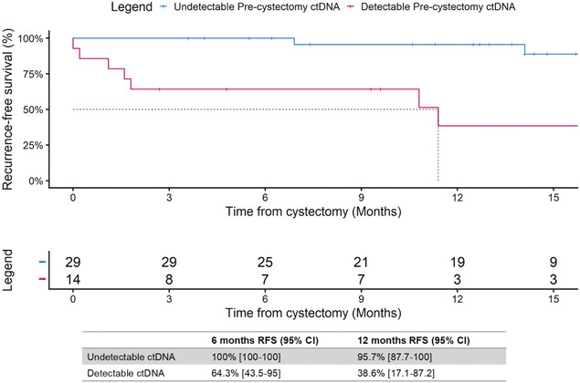 Reuben Ben-David דר ראובן בן דוד tweet media
