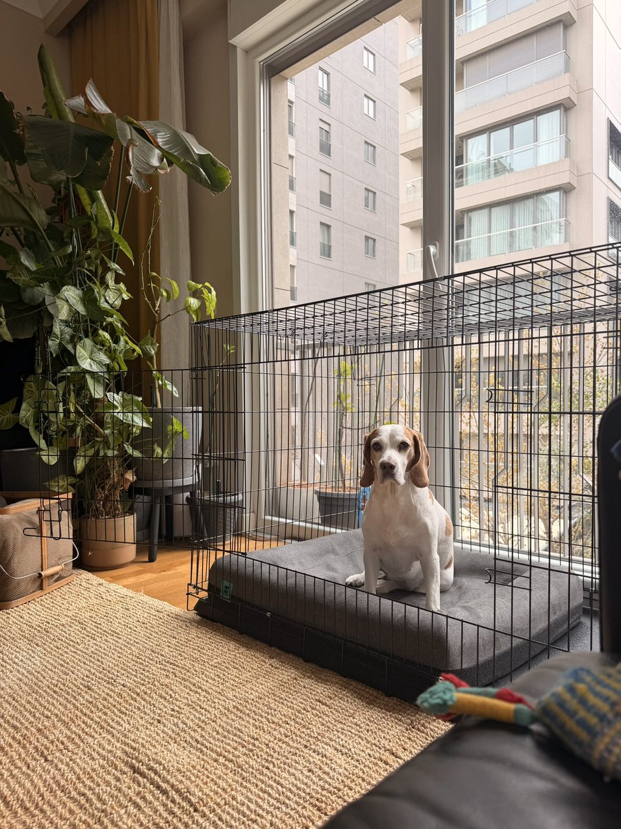 Neslihan tweet media